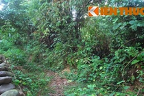 Đi xem xiếc, “sơn nữ” bị 6 trai làng hiếp dâm tập thể