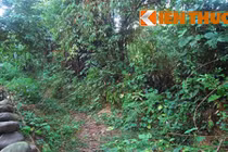 Đi xem xiếc, “sơn nữ” bị 6 trai làng hiếp dâm tập thể