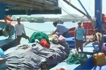 Nghị định phát triển thủy sản chính thức có hiệu lực