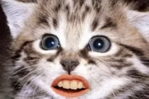 Khi động vật có miệng giống con người