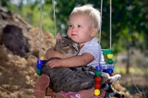 Trẻ con yêu mèo cực kỳ dễ thương