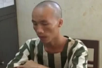 Nhổ trộm cần sa về nhà cất giấu