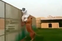 Hãi hùng cảnh tháo chạy khỏi miệng sư tử