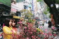 Đào khoe sắc xuống phố... dân Thủ đô thích thú mua chơi