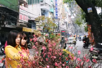 Đào khoe sắc xuống phố... dân Thủ đô thích thú mua chơi