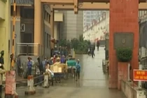Hoa quả Trung Quốc đột nhiên dừng thông quan vào Việt Nam
