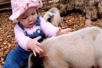 Những chú lợn con siêu ngộ nghĩnh