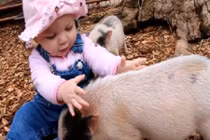 Những chú lợn con siêu ngộ nghĩnh