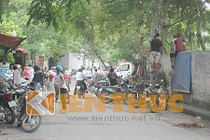 Hà Nội: Công an nghi bị sát hại trong bãi tha ma?