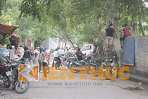 Hà Nội: Công an nghi bị sát hại trong bãi tha ma?