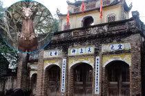 Cận cảnh ngựa, giáp, roi “lạ” ở đền Phù Đổng