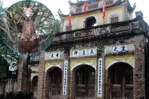 Cận cảnh ngựa, giáp, roi “lạ” ở đền Phù Đổng