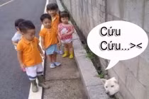 Giây phút “nguy hiểm” của động vật (38)