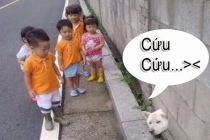 Giây phút “nguy hiểm” của động vật (38)