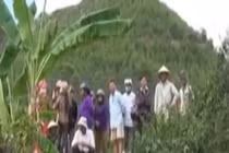 113 Online ngày 29/6: Án phạt cho kẻ cắt cổ hàng xóm