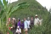 113 Online ngày 29/6: Án phạt cho kẻ cắt cổ hàng xóm