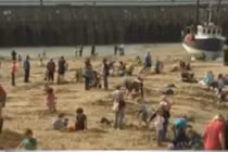 Kéo nhau đến bãi biển tìm... kho vàng