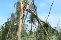 Lốc xoáy kinh hoàng tốc hàng trăm mái nhà ở Quảng Ngãi