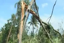 Lốc xoáy kinh hoàng tốc hàng trăm mái nhà ở Quảng Ngãi