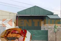 Chuột chết khô trong bim bim: điều tra và xử thế nào?