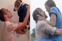 Hài hước ảnh tái hiện khoảnh khắc trong phim với động vật