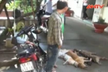 Trộm chó phòng thân bằng ớt bột, hơi cay, súng điện