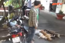 Trộm chó phòng thân bằng ớt bột, hơi cay, súng điện