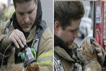 Ảnh yêu thương lấy nước mắt cư dân mạng (18)