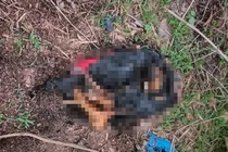 Vụ đôi chân bị đốt ở bãi đất trống, hé lộ giới tính nạn nhân