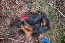 Vụ đôi chân bị đốt ở bãi đất trống, hé lộ giới tính nạn nhân