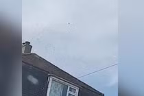 Thị trấn bị bầy ong khổng lồ xâm chiếm khiến người dân hoang mang