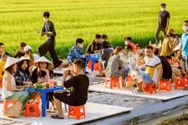 Quán chay của cô chủ 9x hút khách dịp Tết vì ngồi giữa ruộng lúa 