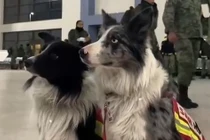 Các “chuyên gia cứu hộ đặc biệt” lên đường đến Thổ Nhĩ Kỳ