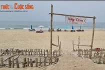 Xót xa bờ biển Hội An sạt lở, đe dọa “nuốt chứng” loạt resort