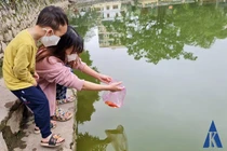 Thú vị khoảnh khắc người dân "chào" cá khi phóng sinh