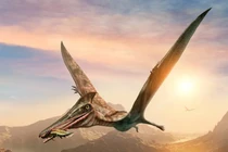 Phát hiện “quái vật' đầu chim, đuôi khủng long, chấn động cả giới khảo cổ