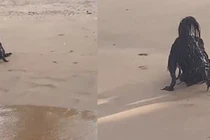 “Người ngoài hành tinh đen” xuất hiện trên bãi biển?