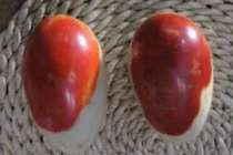 Đổi đời trong nháy mắt nhờ đào trúng “trứng máu” 3 tỷ đồng