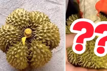 Quả sầu riêng trong hình dáng một bông hoa gây ngỡ ngàng