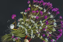 Chân dung nữ nhiếp ảnh gia đưa cảnh đẹp Việt Nam vươn tầm quốc tế