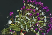 Chân dung nữ nhiếp ảnh gia đưa cảnh đẹp Việt Nam vươn tầm quốc tế