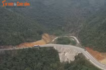 Công ty TNHH Công trình 156 Hà Nội đổ thải, đè chết cây