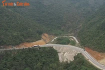 Công ty TNHH Công trình 156 Hà Nội đổ thải, đè chết cây