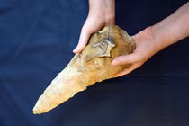 Chuyên gia hoang mang phát hiện cổ vật khổng lồ 300.000 năm