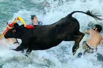 VN-Index dừng tại mốc 1.168 kết phiên 8/3