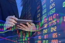 Dầu khí trở xanh về cuối phiên, VN-Index tăng nhẹ gần 4 điểm