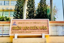 Cty Xây lắp Điện trúng gói nâng cấp đường dây trung thế của Điện lực Biên Hòa