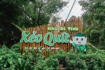 Mỹ Thuật Nam Sài Gòn vì sao được chỉ định thầu biểu tượng Xẻo Quít ?
