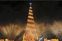 Những cây thông Noel “đỉnh” nhất thế giới năm 2013