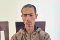 Gia Lai: Bắt giữ anh rể phá hoại vườn cây nhà em vợ